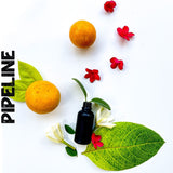 Surf Scents - O'ahu Collection