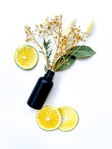 Surf Scents - O'ahu Collection