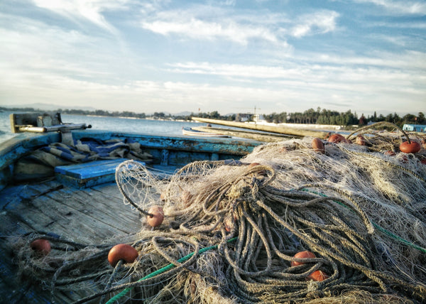 How These Companies are Helping Solve Ocean Waste - One Net at a Time